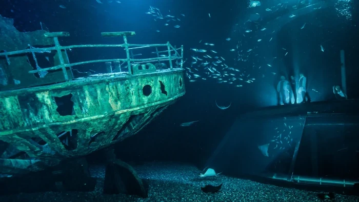 Oceanarium w Straslundzie